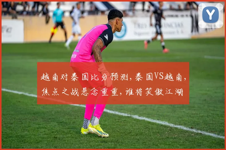 越南对泰国比分预测,泰国VS越南,焦点之战悬念重重,谁将笑傲江湖