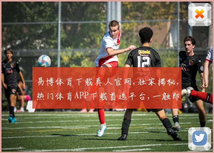 易博体育下载真人官网,独家揭秘,热门体育APP下载首选平台,一触即达